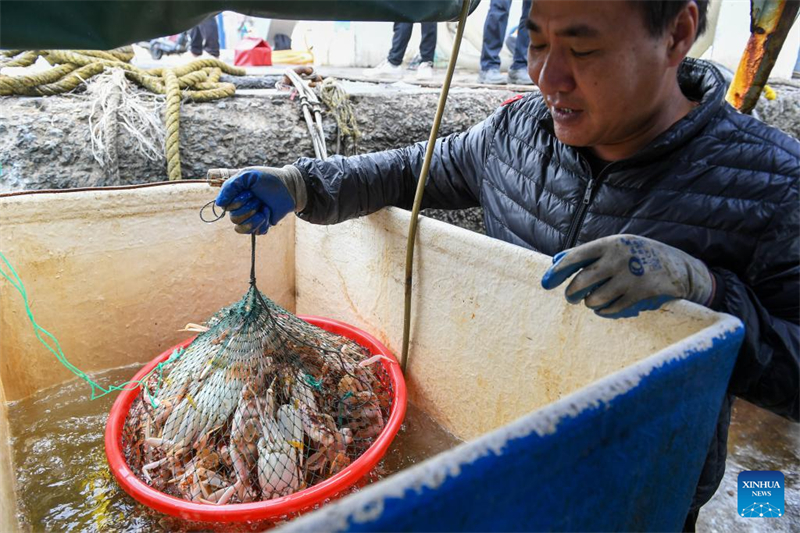 Guangdong : une route de livraison de fruits de mer par drones ouverte à Shenzhen