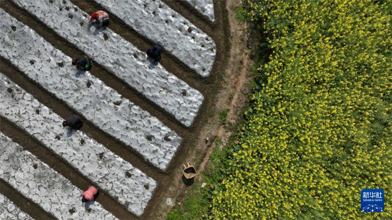 Les agriculteurs s'activent en ce début de printemps