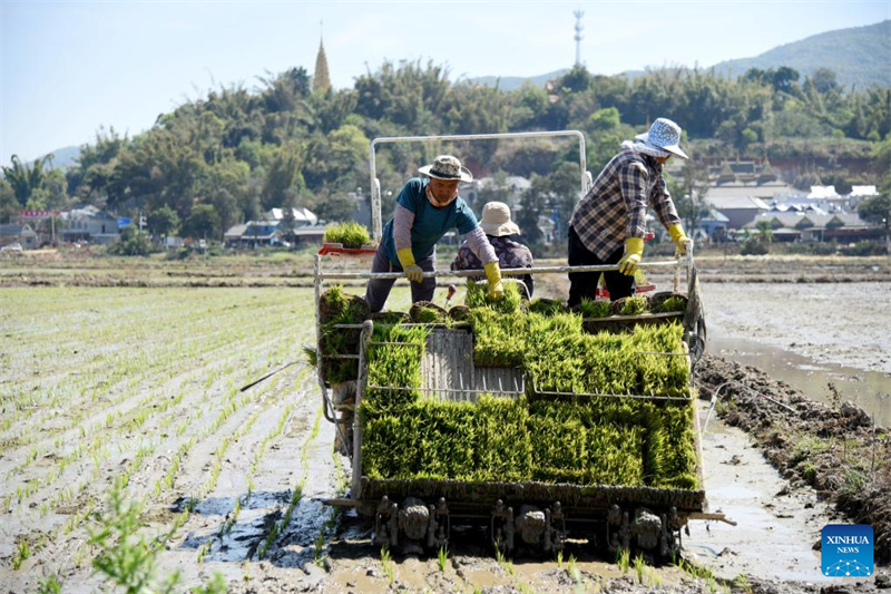 Les agriculteurs s'activent dans toute la Chine