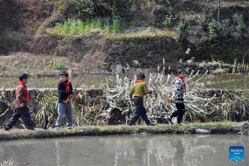 Guangxi : le cadre de vie du village de Wuying continue de s'améliorer grace au programme de plantation d'arbres