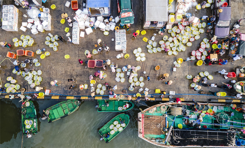 Hainan : un magnifique paysage printanier et des entrep?ts pleins de poissons à Qionghai