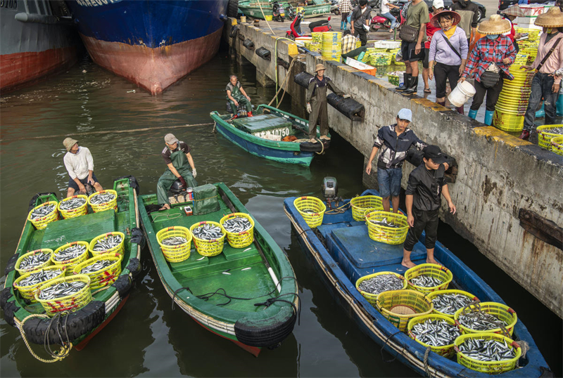 Hainan : un magnifique paysage printanier et des entrep?ts pleins de poissons à Qionghai