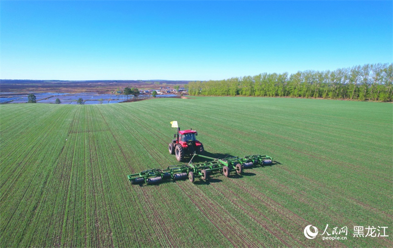 Heilongjiang : une image de travaux agricoles printaniers, ? peinture intelligente ? dotée de moyens numériques