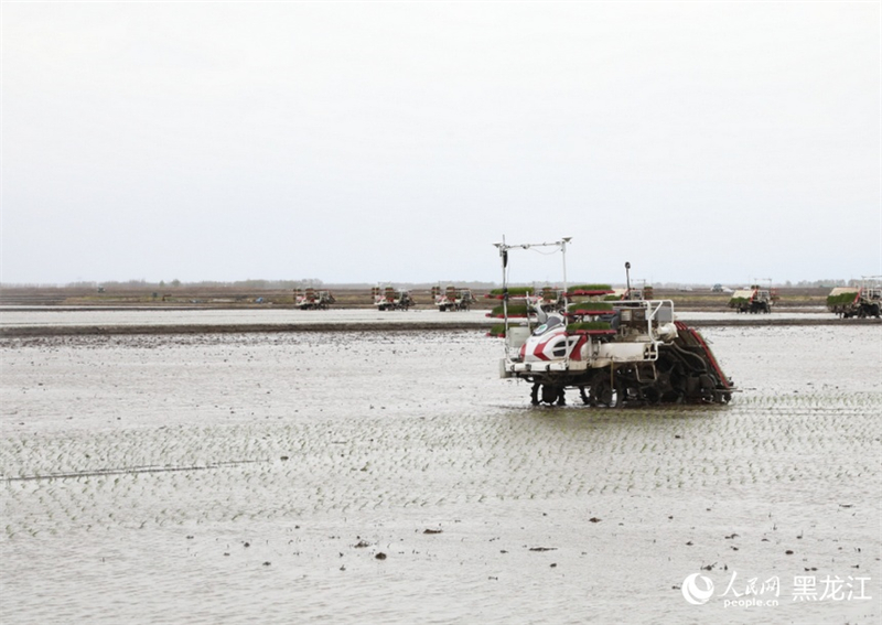 Heilongjiang : une image de travaux agricoles printaniers, ? peinture intelligente ? dotée de moyens numériques