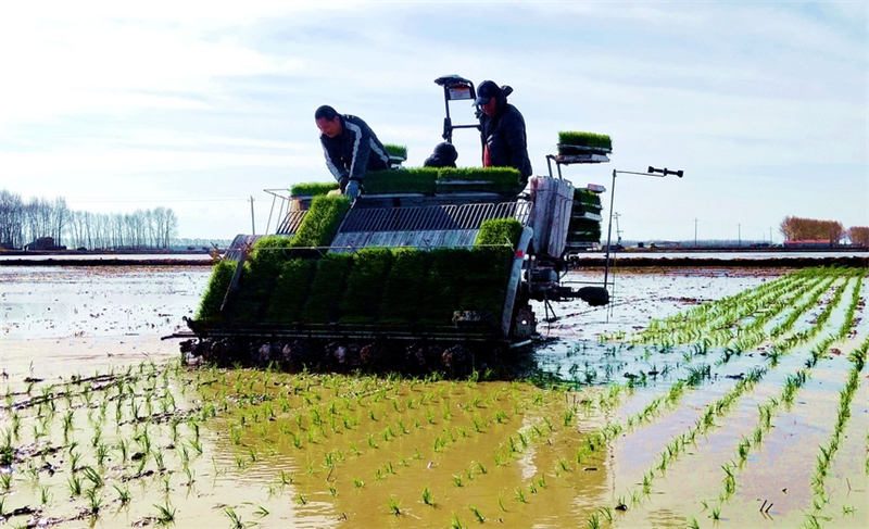 Heilongjiang : une image de travaux agricoles printaniers, ? peinture intelligente ? dotée de moyens numériques