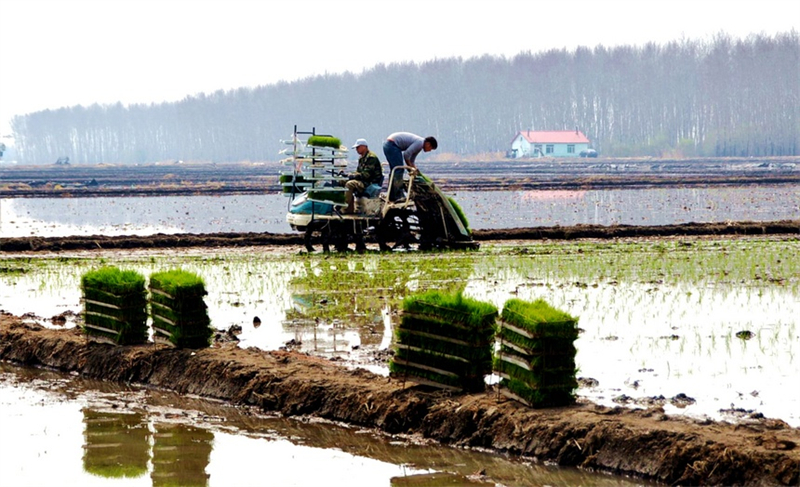 Heilongjiang : une image de travaux agricoles printaniers, ? peinture intelligente ? dotée de moyens numériques