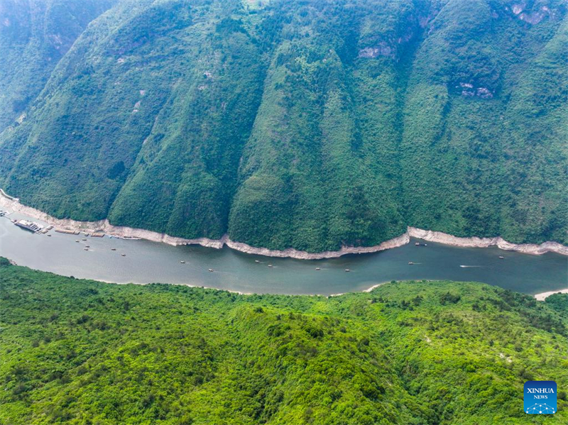 Chongqing : le comté de Wushan encourage le tourisme culturel en se concentrant sur la région des Trois Gorges