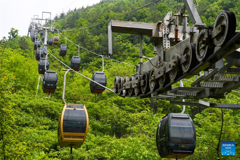 Chongqing : le comté de Wushan encourage le tourisme culturel en se concentrant sur la région des Trois Gorges