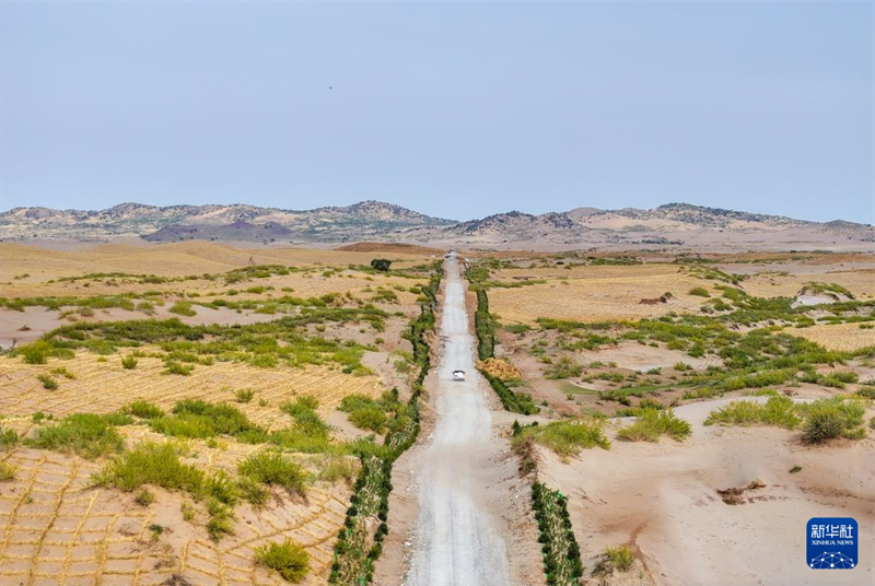 Mongolie intérieure : l'utilisation globale de multiples moyens pour contr?ler les terres sableuses de Horqin