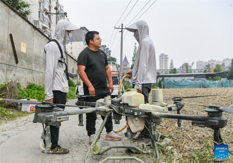 Sichuan : un jeune agriculteur utilise la technologie moderne pour renforcer l'agriculture traditionnelle