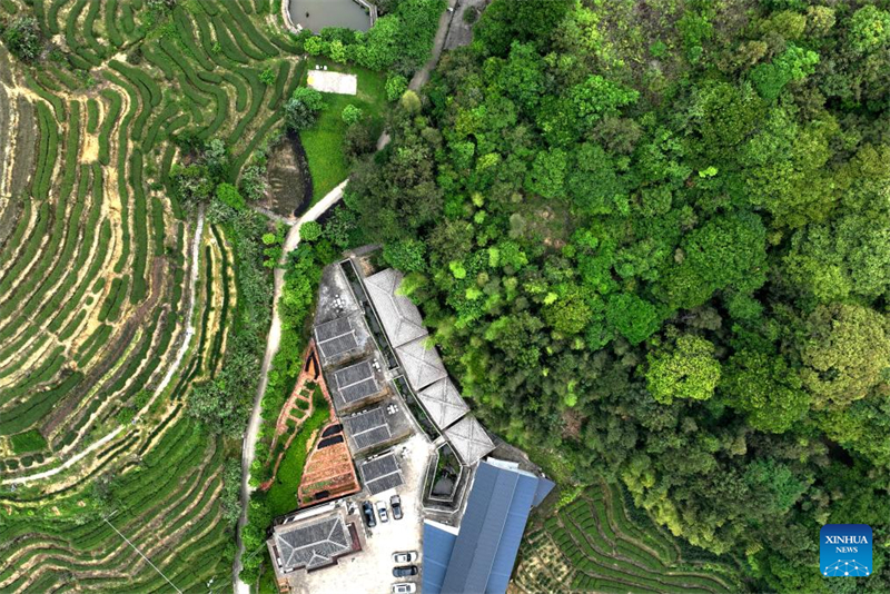 Fujian : les forêts développées dans un but économique