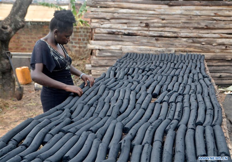 Les femmes ougandaises transforment les déchets agricoles en biocarburants contre la déforestation