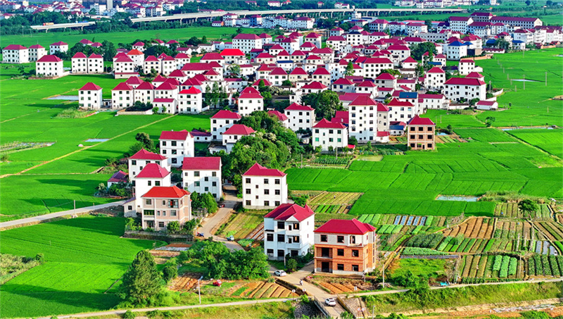 Jiangxi : les nouvelles zones rurales belles et harmonieuses du district de Dongxiang, à Fuzhou