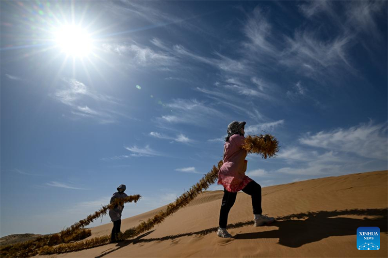 Ningxia : un outil et une technologie innovants contribuent au contr?le du sable à Zhongwei