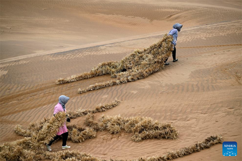 Ningxia : un outil et une technologie innovants contribuent au contr?le du sable à Zhongwei