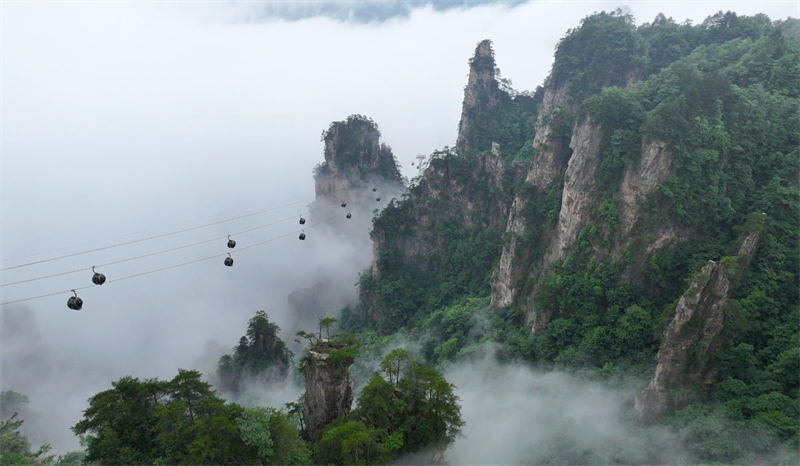 Hunan : une promenade dans les nuages à Zhangjiajie