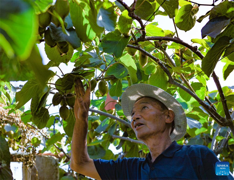 Shaanxi : Baoji soutient le développement vert de l'agriculture