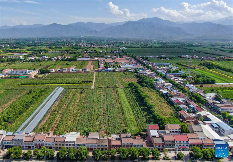 Shaanxi : Baoji soutient le développement vert de l'agriculture