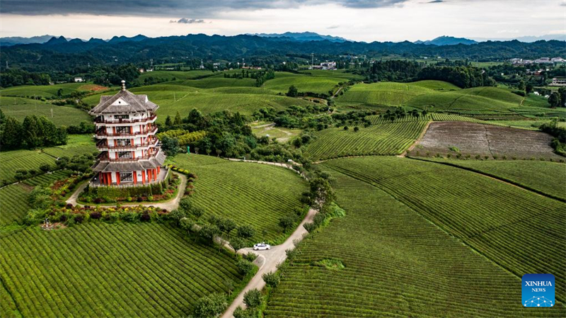 Guizhou : le réseau routier rural provincial s'est considérablement amélioré au cours de la dernière décennie