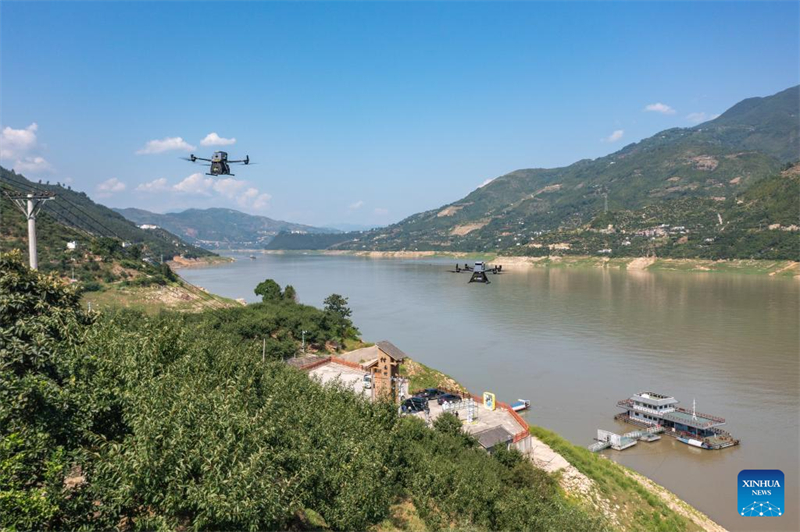 Chongqing : des drones cargo et des avions spéciaux utilisés pour le transport de prunes dans l'ensemble de la Chine