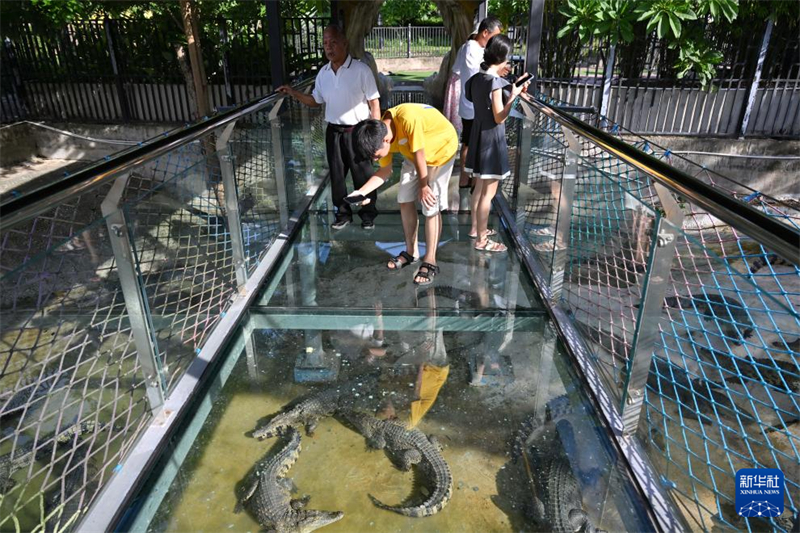 Hainan : à la découverte du ? canton des crocodiles ? de Dongfang