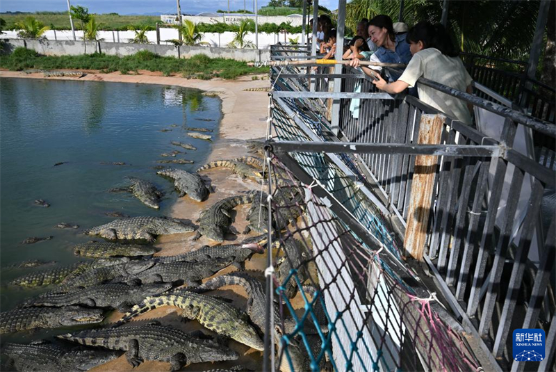 Hainan : à la découverte du ? canton des crocodiles ? de Dongfang