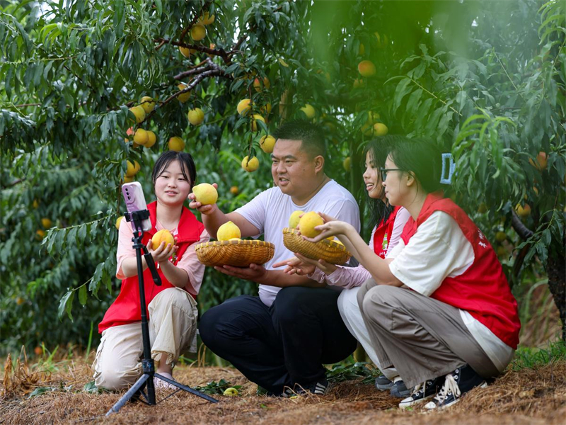 Guizhou : des jeunes volontaires font de la diffusion en direct pour aider les agriculteurs de Yuping à vendre leurs produits