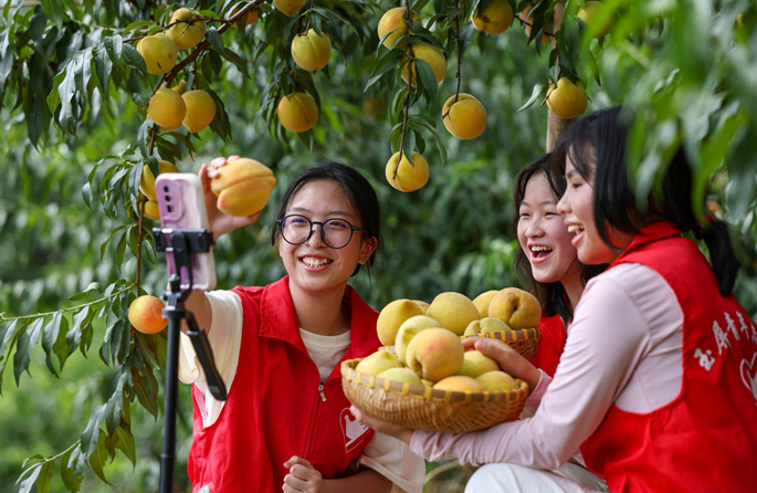 Guizhou : des jeunes volontaires font de la diffusion en direct pour aider les agriculteurs de Yuping à vendre leurs produits