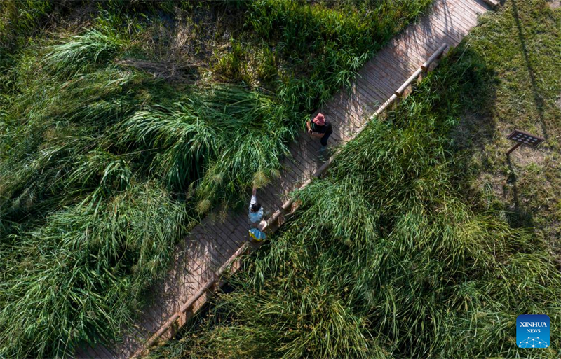 Ningxia : Wuzhong attire les touristes grace à l'amélioration de son environnement écologique