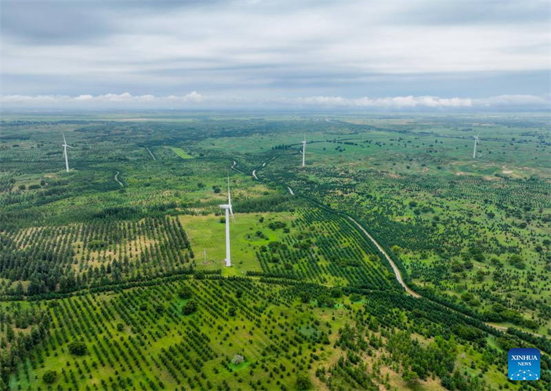 Un aper?u de la barrière de sécurité écologique dans le nord-est de la Chine