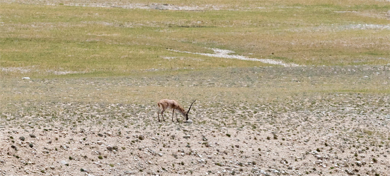 Xizang : la source de la magnifique rivière Yarlung Zangbo