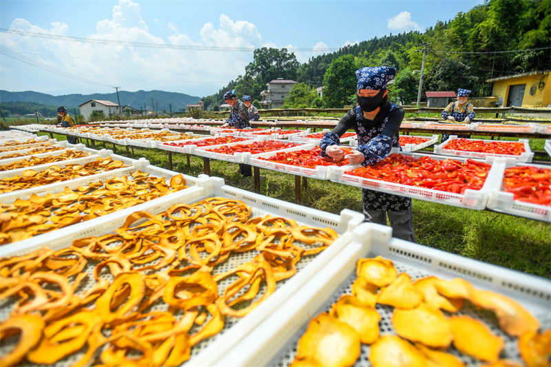 Jiangxi : des villageois du comté de Yichun font sécher des produits agricoles