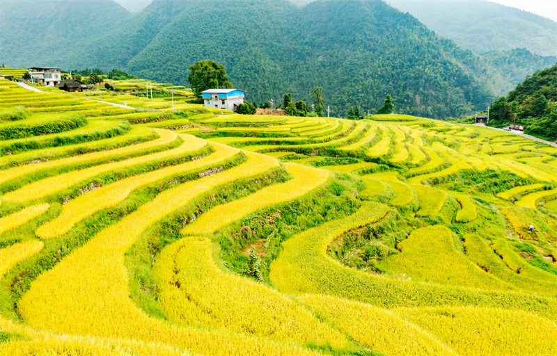 Hunan : les riches paysages de la campagne montagneuse de Dong'an