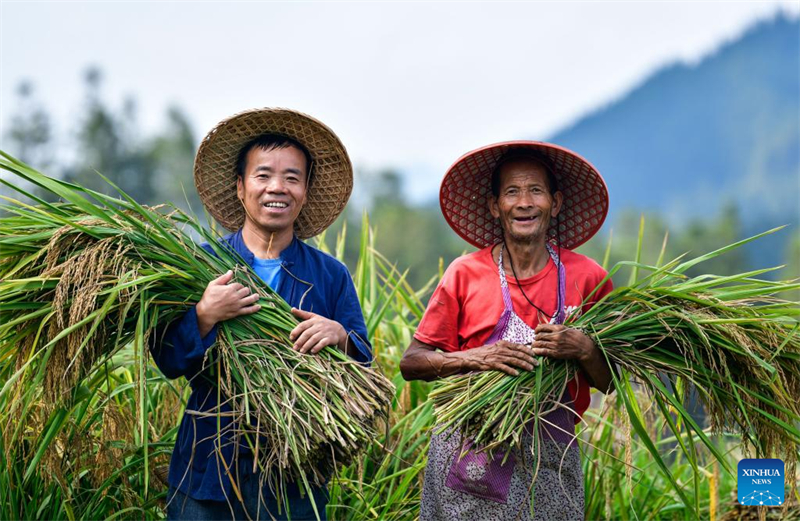 Guizhou : un dipl?mé universitaire se consacre à la recherche et à la protection des anciennes variétés de cultures à Liping