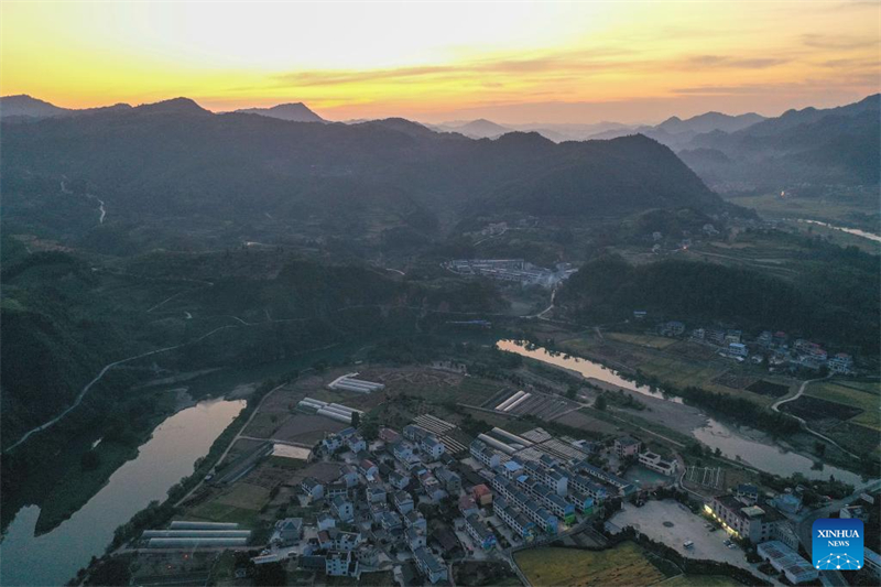 Guizhou : une jeune ouvrière villageoise aide les habitants de Zhouping à développer l'industrie de production de semences de riz