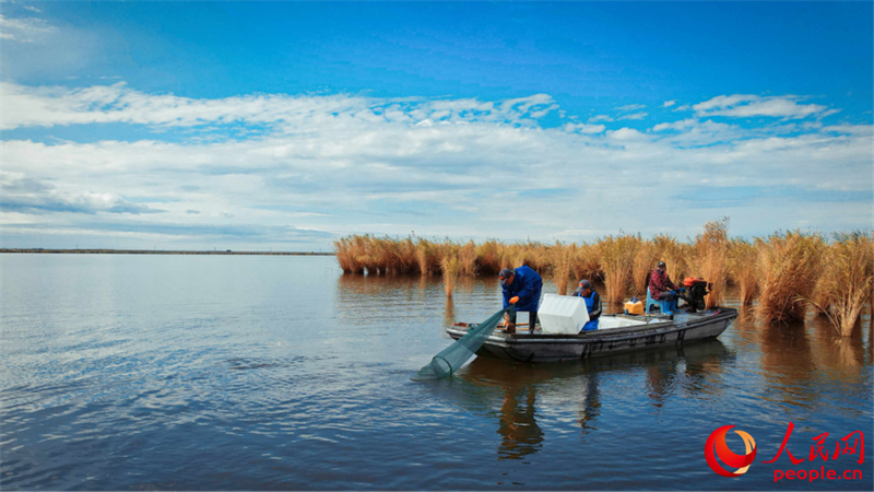 Xinjiang : la pêche aux crabes a commencé à Beitun