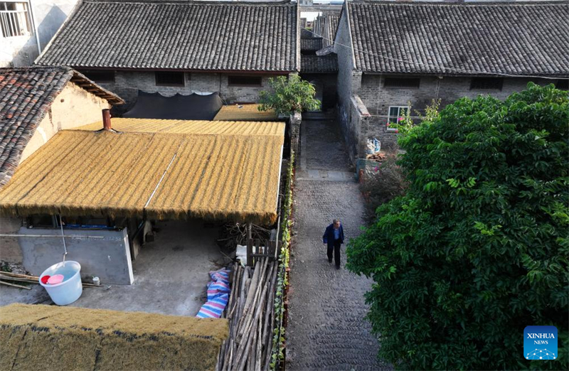 Guangxi : le village traditionnel de Nalu devient une attraction touristique et un lieu incontournable pour les voyages d'études