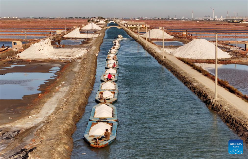 Hebei : la récolte du sel dans les salines de Nanpu à Tangshan