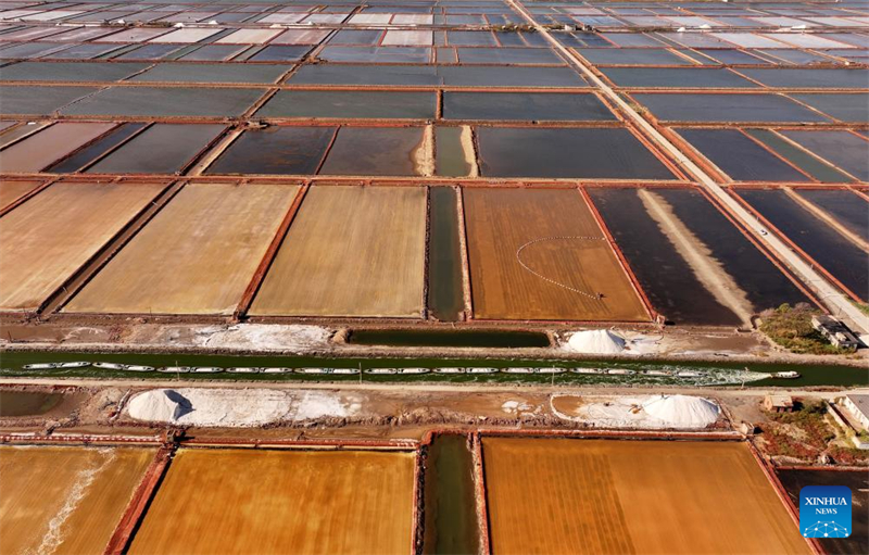 Hebei : la récolte du sel dans les salines de Nanpu à Tangshan