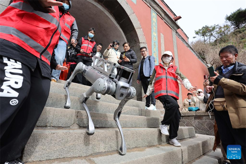 Shandong : un chien robot effectue un test de livraison de charges lourdes sur le site touristique du mont Tai