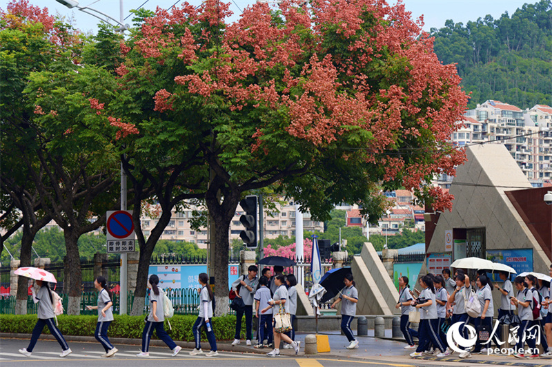 Fujian : les savonniers colorés de Xiamen se parent de leurs habits d'automne