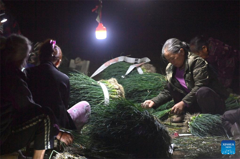 Guangxi : un village engagé dans la culture des oignons verts