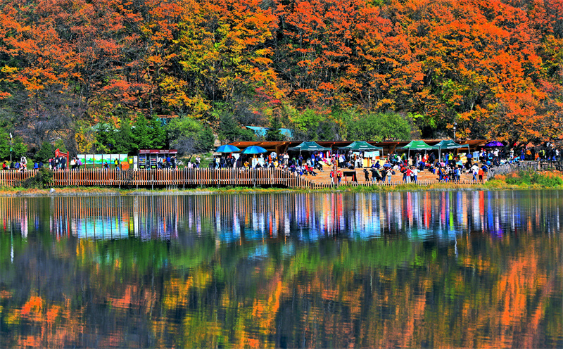 Sichuan : les paysages d'automne pittoresques de Jiuzhaigou envo?tent les touristes