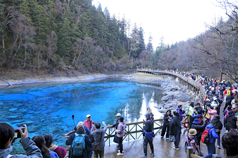 Sichuan : les paysages d'automne pittoresques de Jiuzhaigou envo?tent les touristes