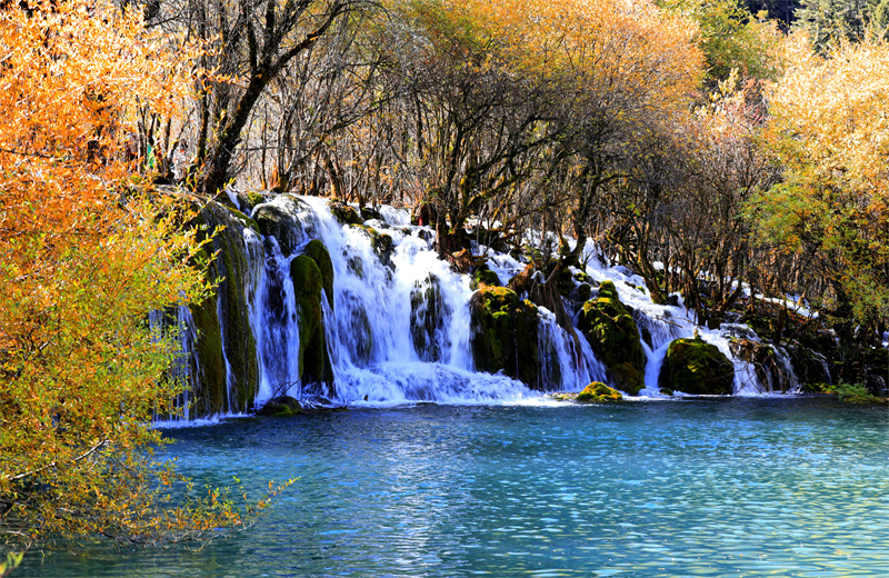 Sichuan : les paysages d'automne pittoresques de Jiuzhaigou envo?tent les touristes