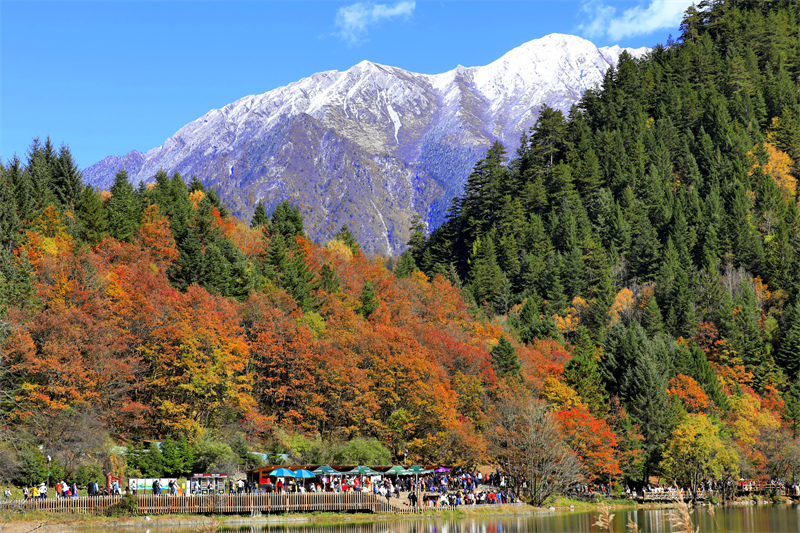 Sichuan : les paysages d'automne pittoresques de Jiuzhaigou envo?tent les touristes