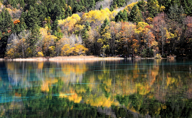 Sichuan : les paysages d'automne pittoresques de Jiuzhaigou envo?tent les touristes