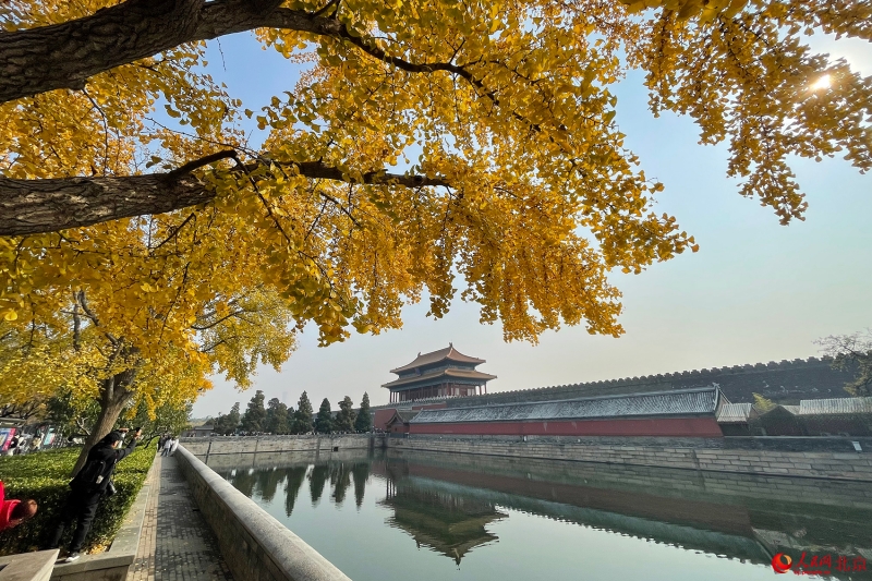 Les magnifiques couleurs de l'automne à Beijing