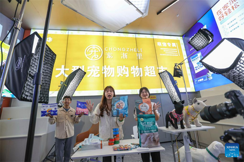 Un aper?u du festival annuel du shopping du ? Double 11 ? en Chine