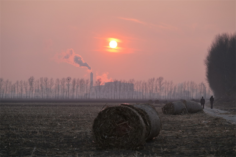 Heilongjiang : la récolte de céréales d'automne est séchée et stockée dans les entrep?ts